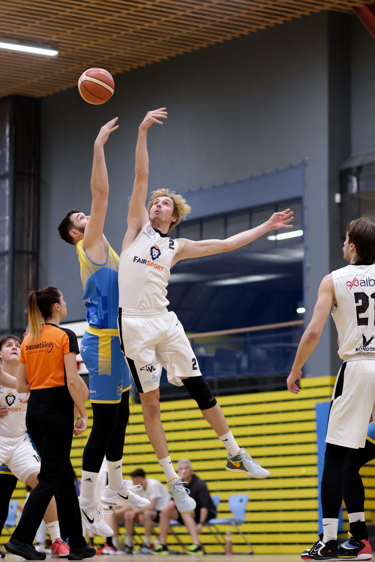 Tomáš Bělohradský