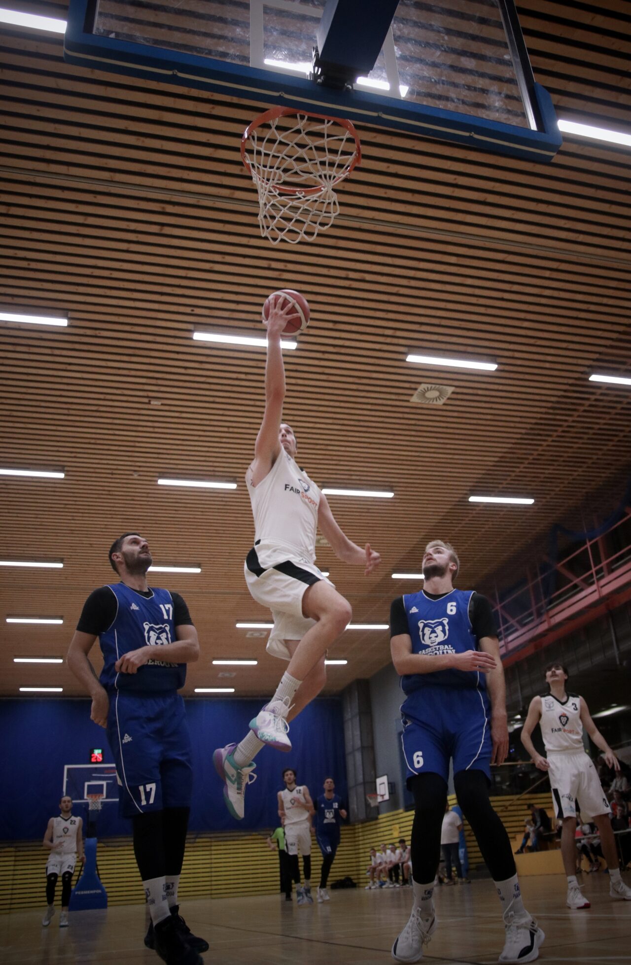 Tomáš Bělohradský